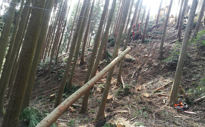 img20190411115906887191.jpg