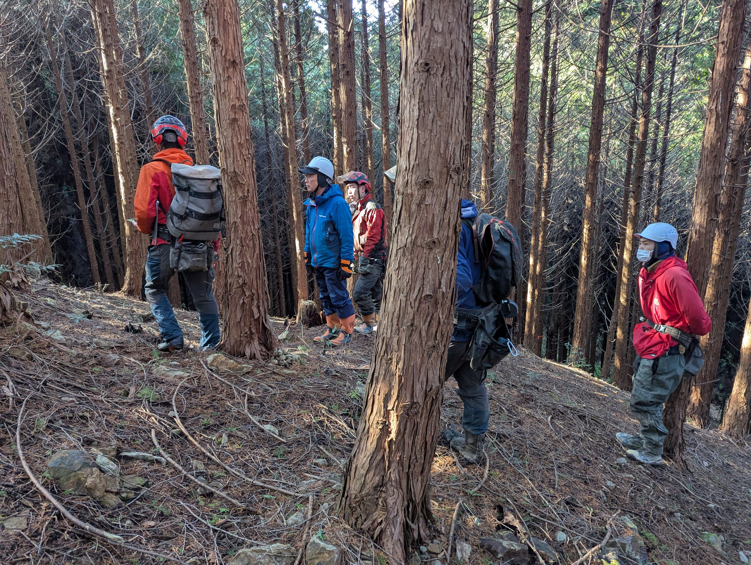 森林作業道の踏査